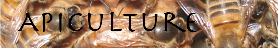 Apiculture