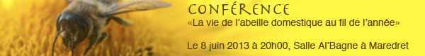 Conférence sur l'abeille