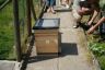 20090524-DSC00392.jpg